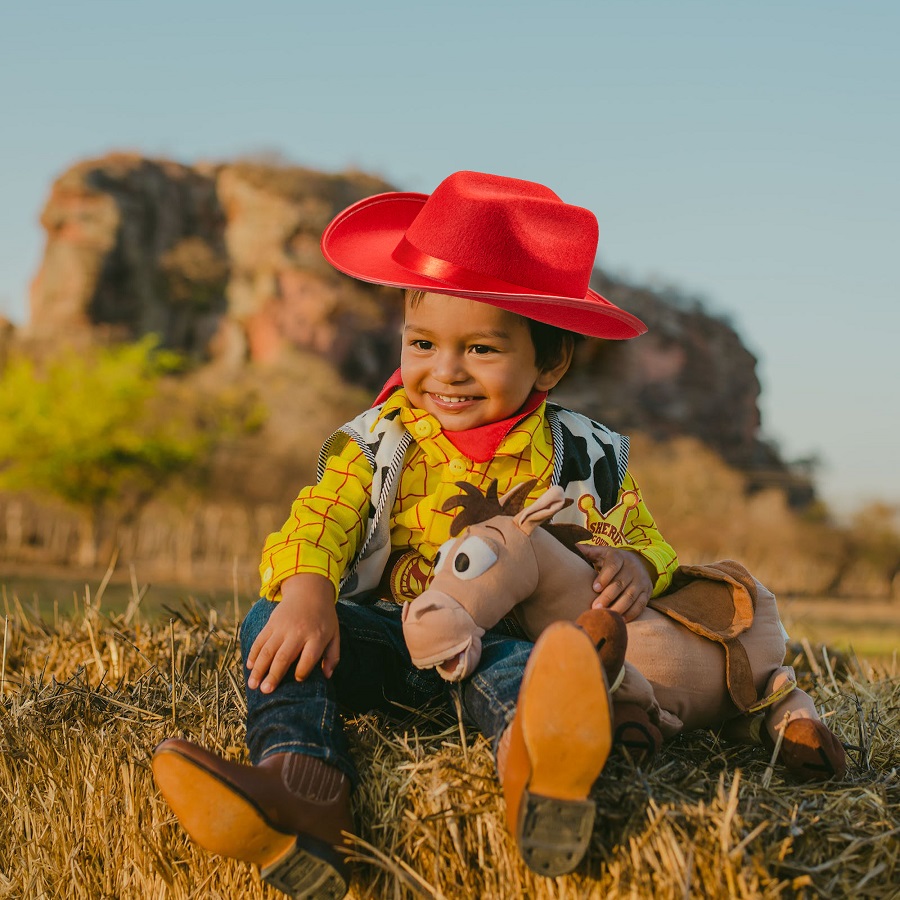 cowboy hat accessories