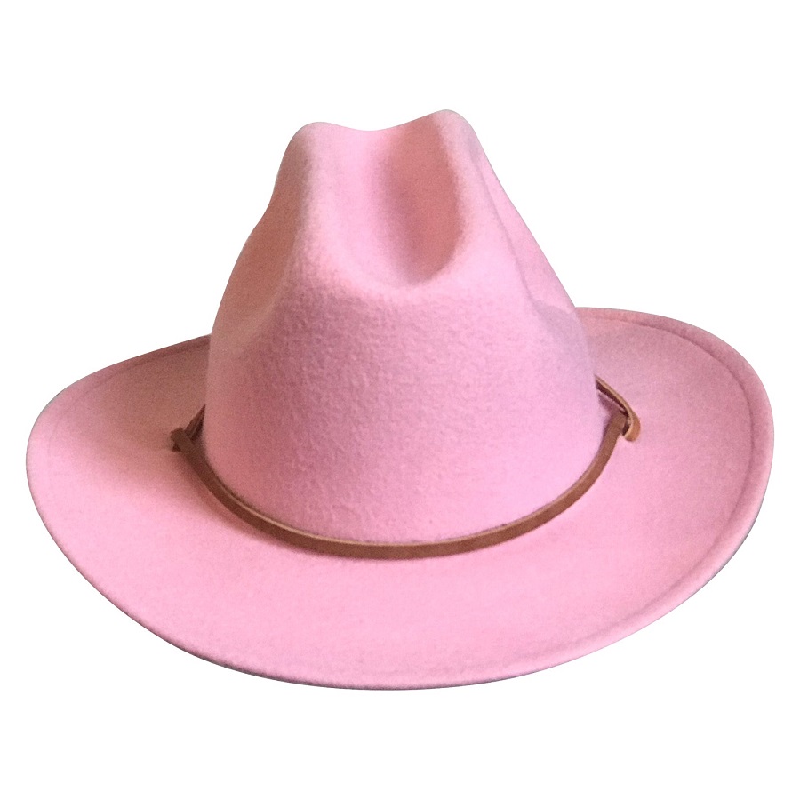 cowboy hat transparent